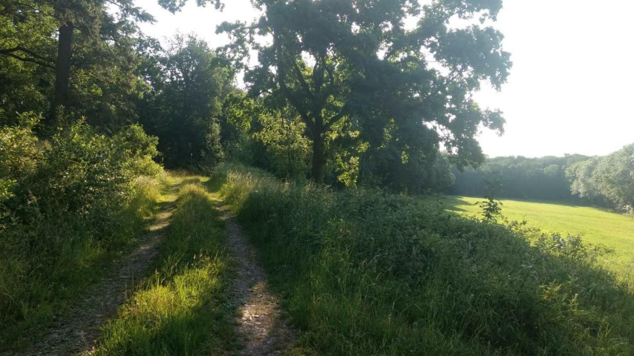 Ziegeleihof Inmitten Von Wiesen Und Waeldern Degenershausen ภายนอก รูปภาพ